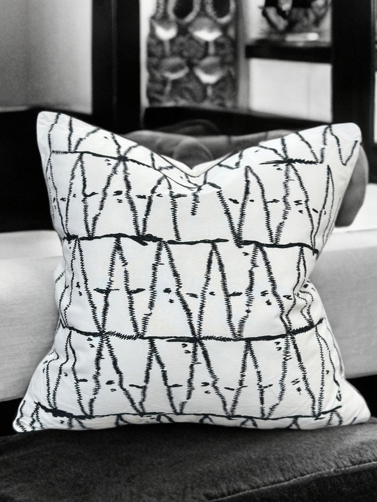 White Velvet Pillow with Black Embroidered Abstract and Thick Border - VIVA015.