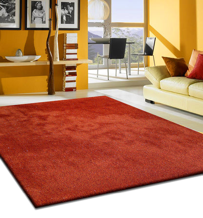 Shiny Glow Soft Plush Fluffy Shag Area Rug/Carpet