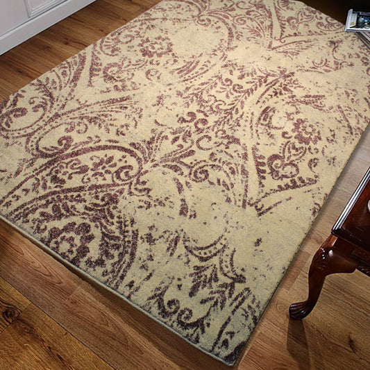 Plush Paisley Design Faded Area Rug/ Carpet