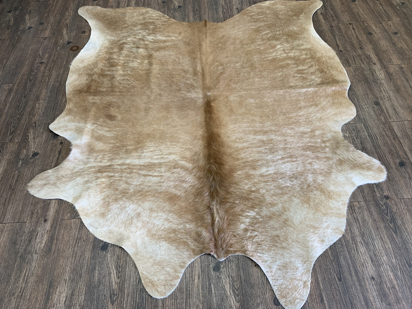 Real Leather Cowhide Cow15 by Rug Factory Plus