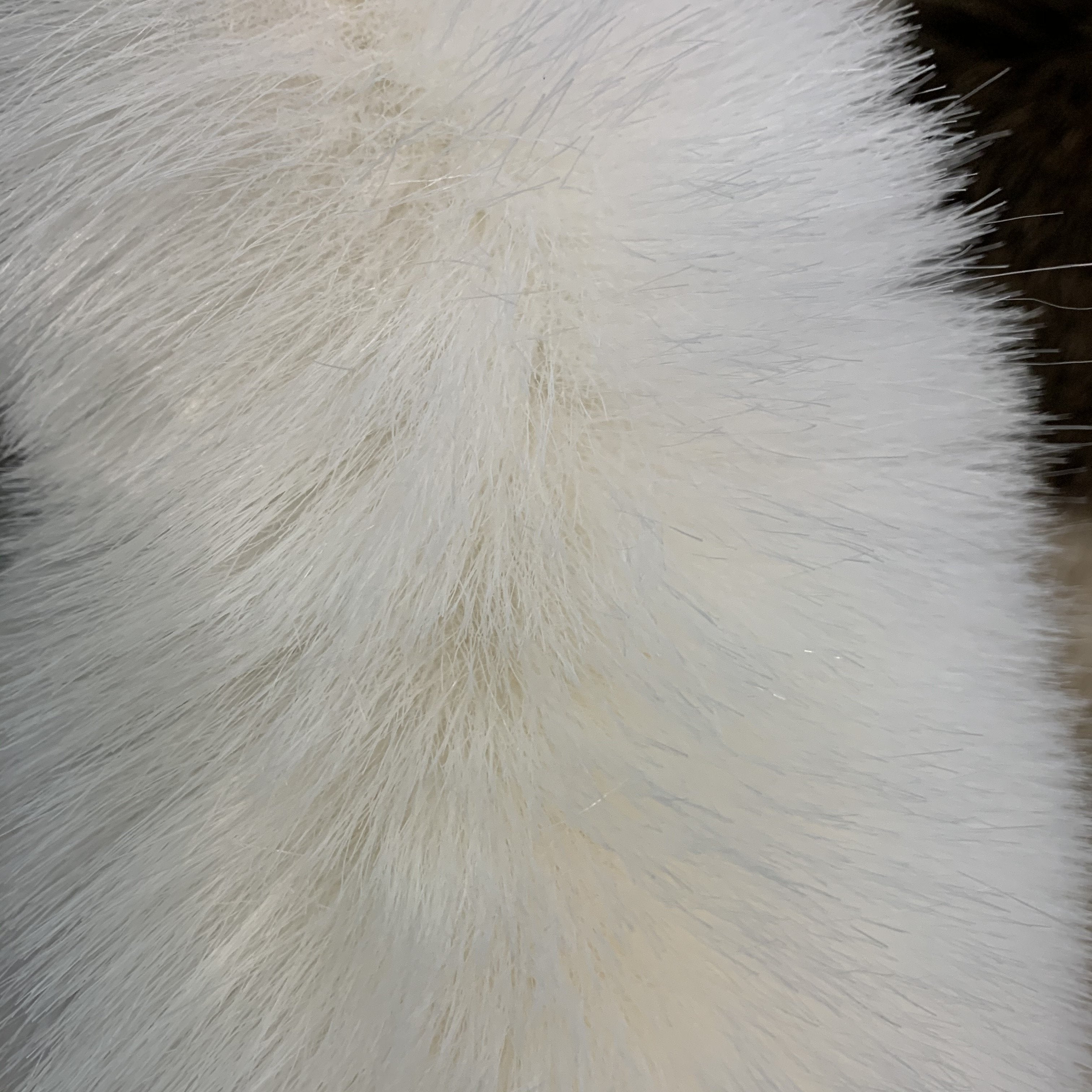 Animal Print Faux Area Rug/Bed Cover Collection