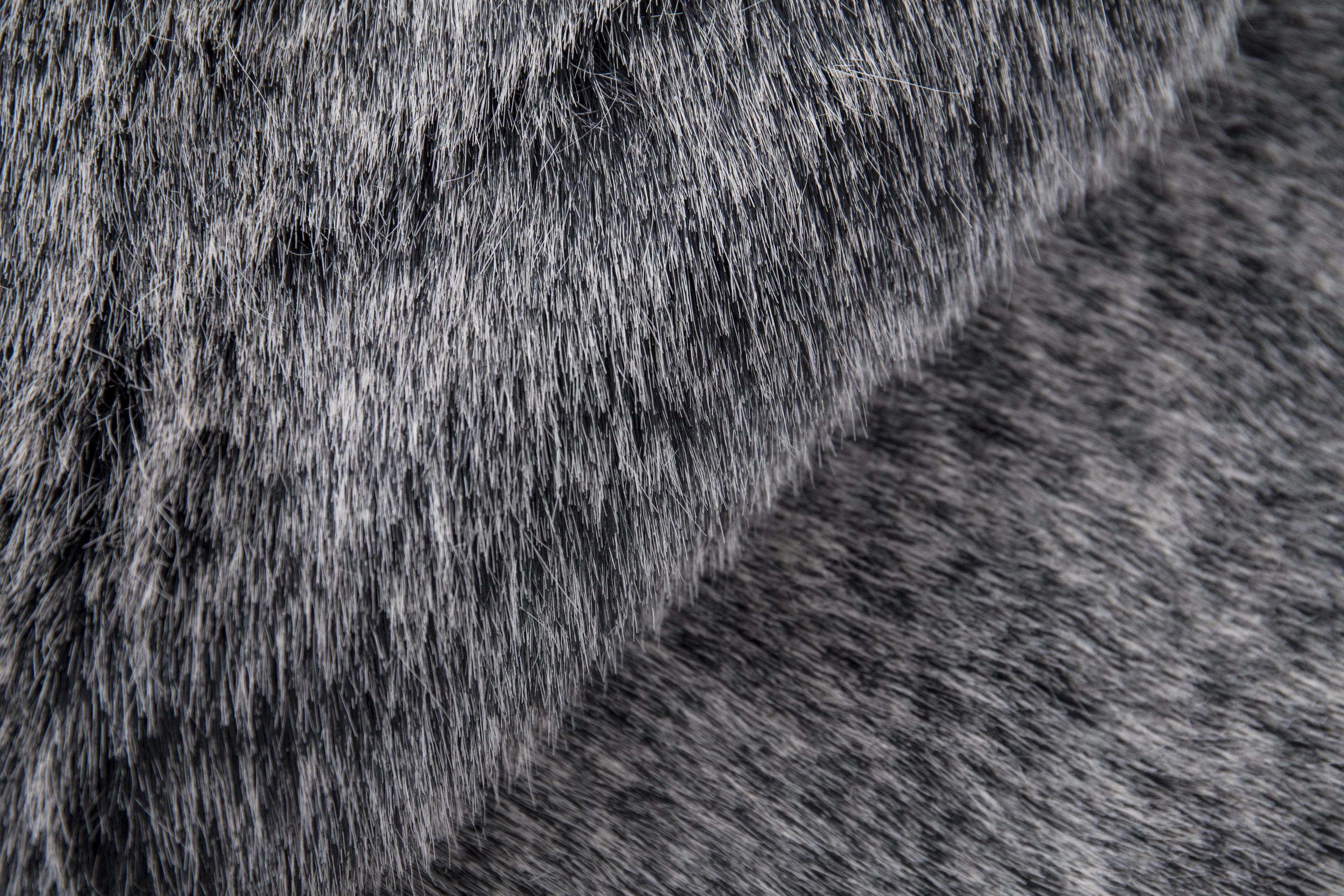 Renne Area Rug/Bed Cover Collection