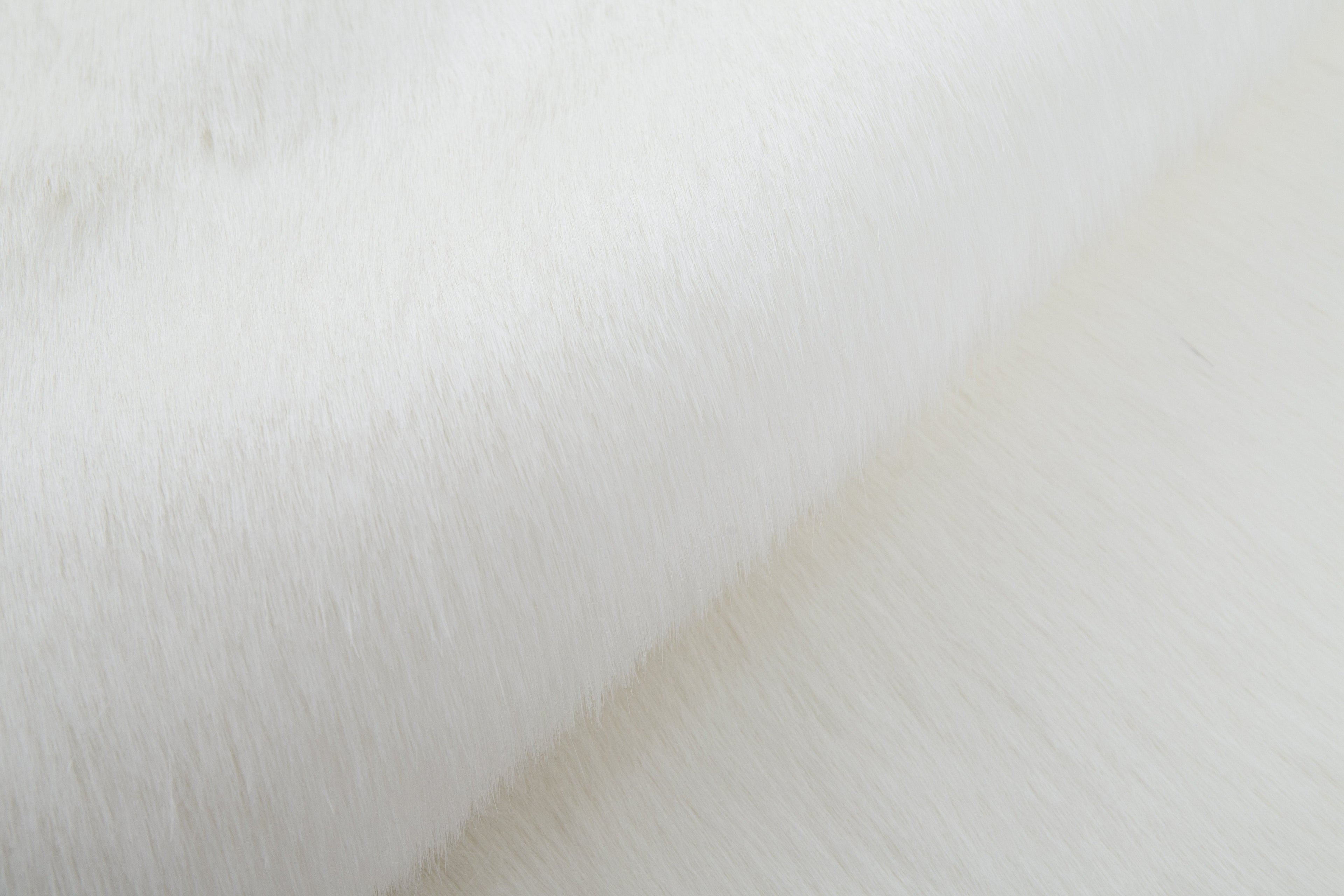Renne Area Rug/Bed Cover Collection