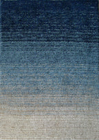 Soft Touch Cozy Fade Color Shag Area Rug/Carpet