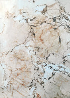 Earth Tones Vintage Marble Style Printed Area Rug/ Carpet