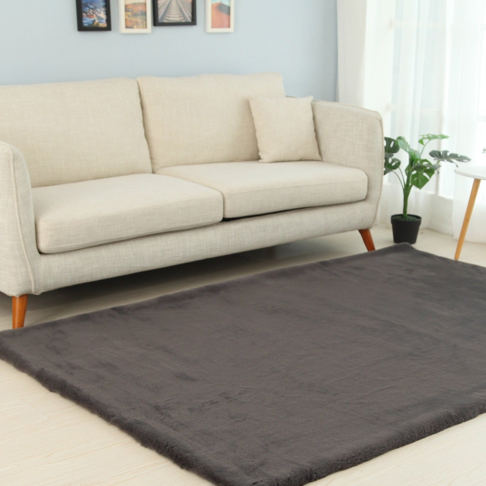Soft Cozy Fuzzy Faux Fur Area Rug/Carpet