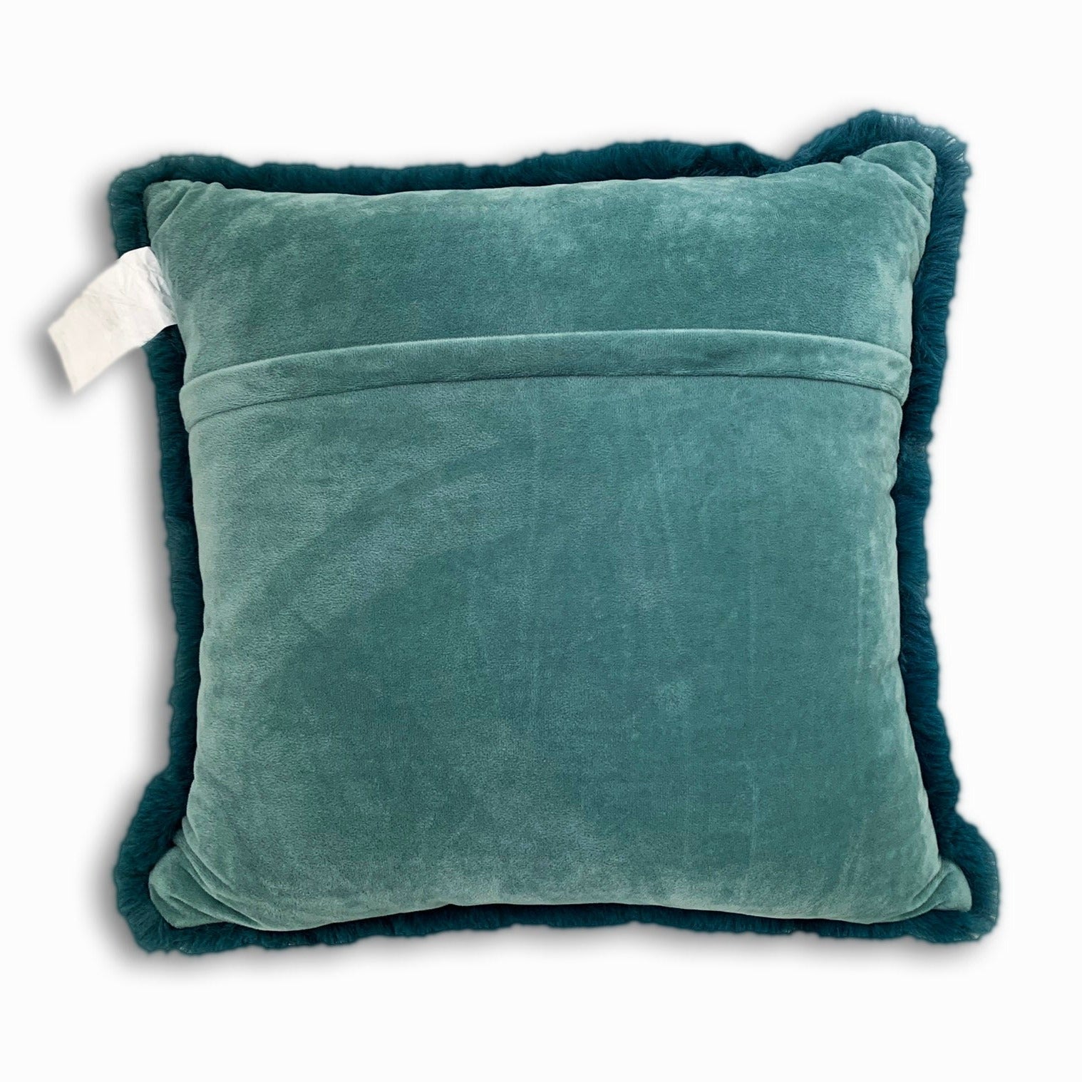 Teal 2025 fuzzy pillow