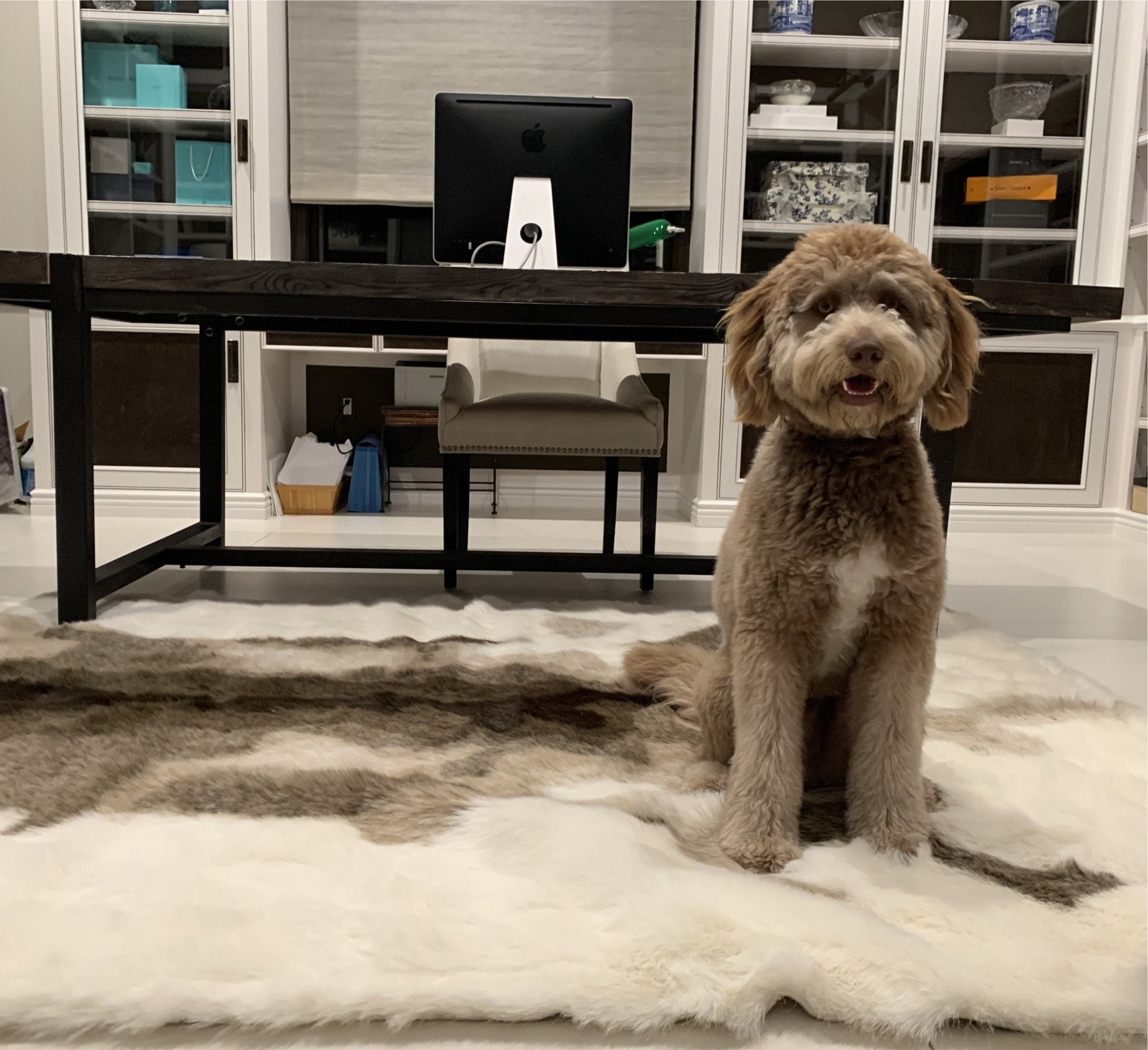 Animal Print Faux Area Rug/Bed Cover Collection