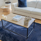 Soft Cozy Fuzzy Faux Fur Area Rug/Carpet